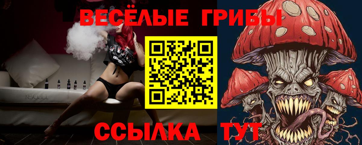 Галлюциногенные грибы Psilocybine cubensis Орёл